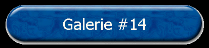 Galerie #14