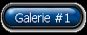 Galerie #1