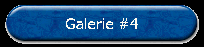 Galerie #4