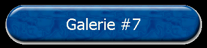 Galerie #7